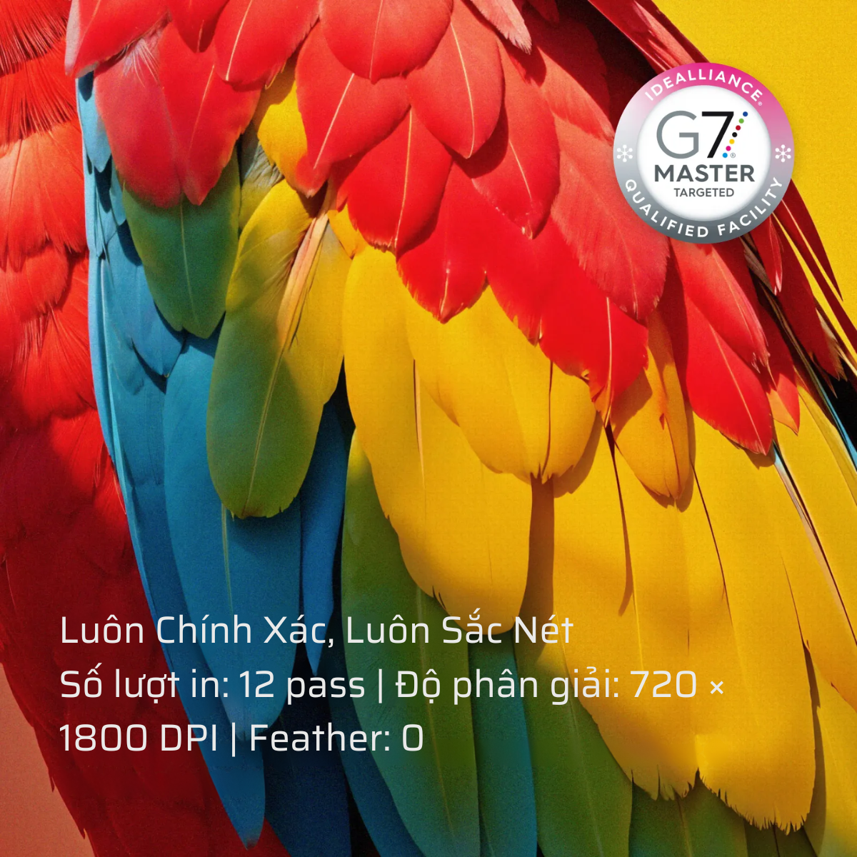 Máy In DTF xTool Apparel Printer.