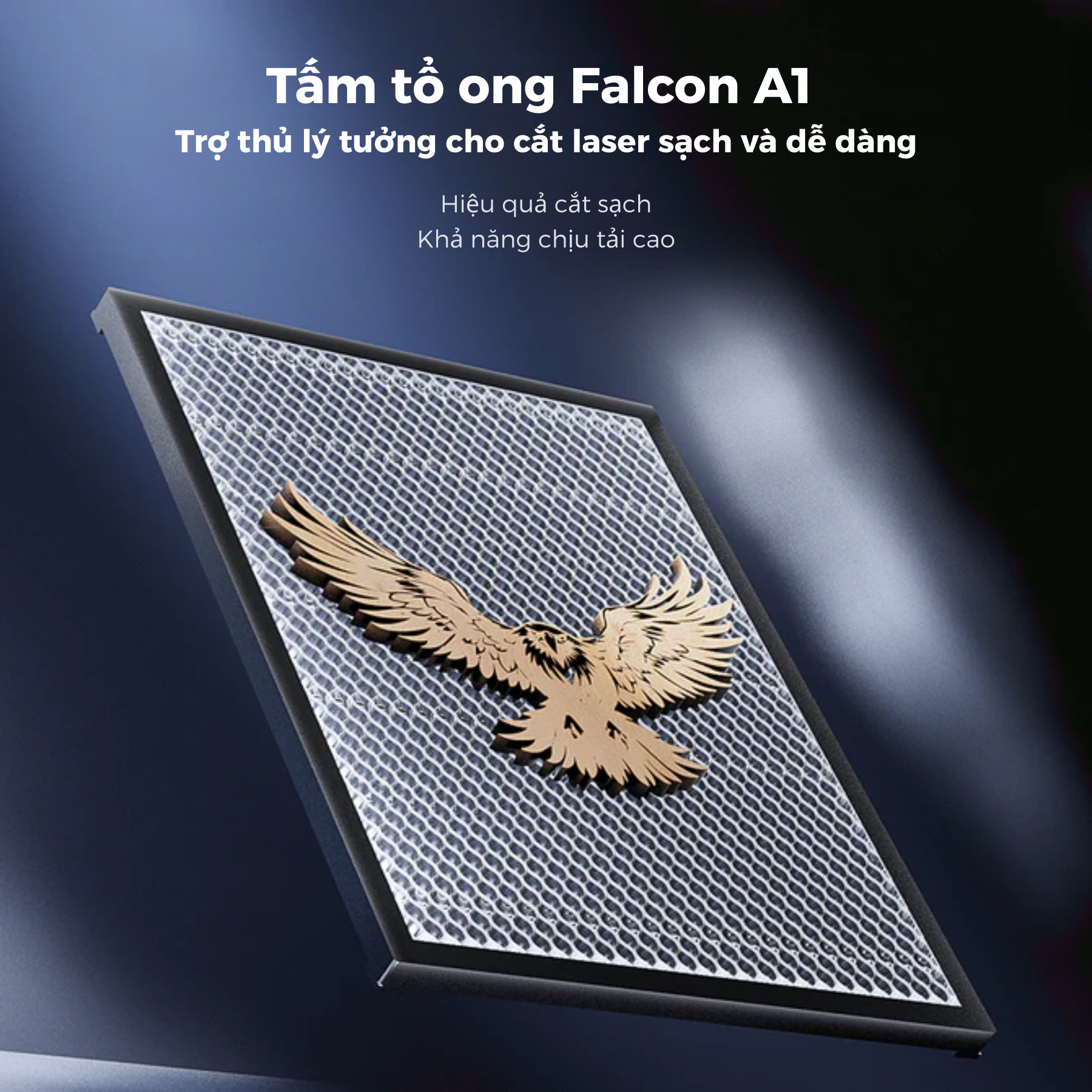 tổ ong máy khắc creality falcon