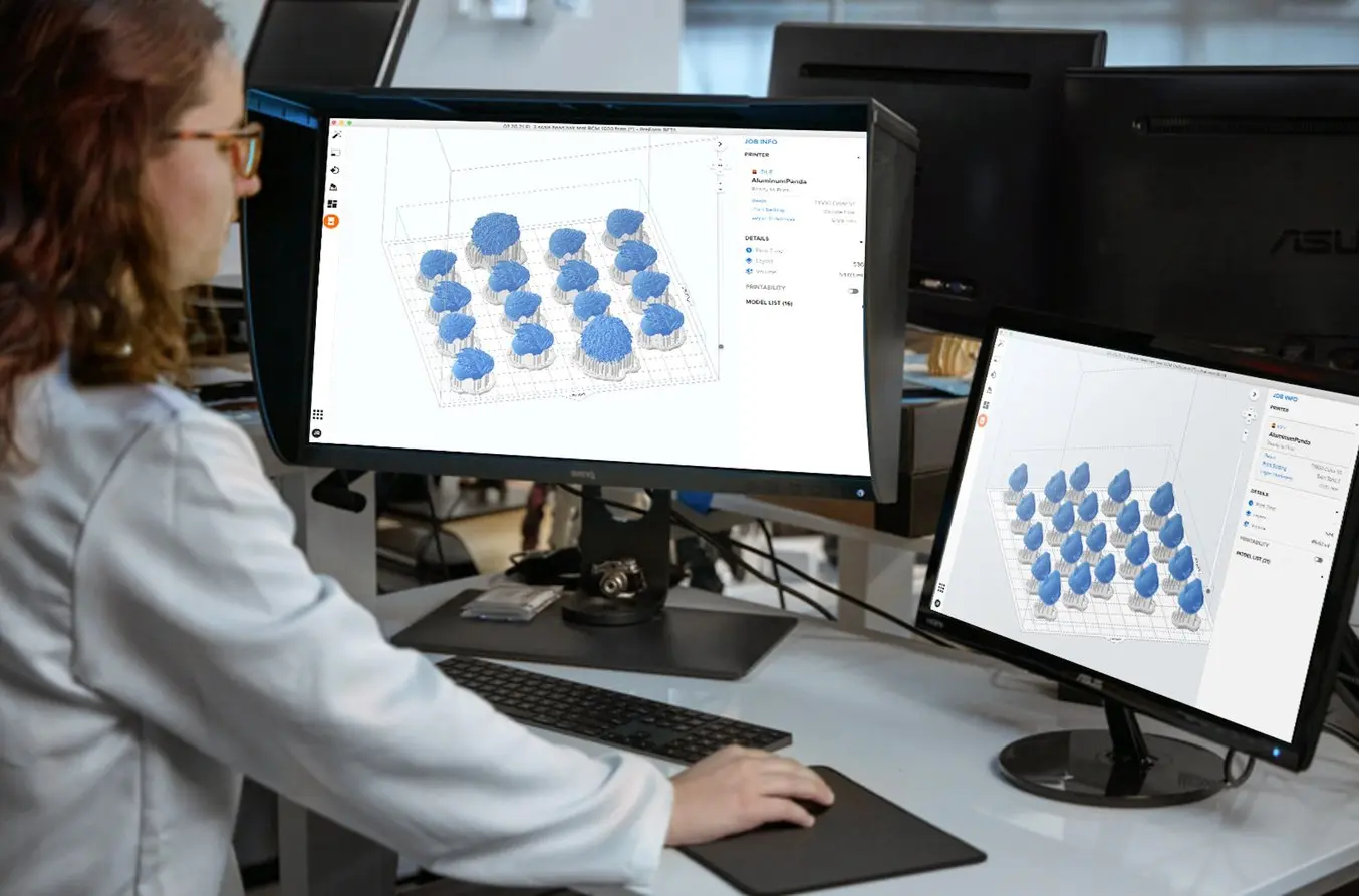 in 3D prototype