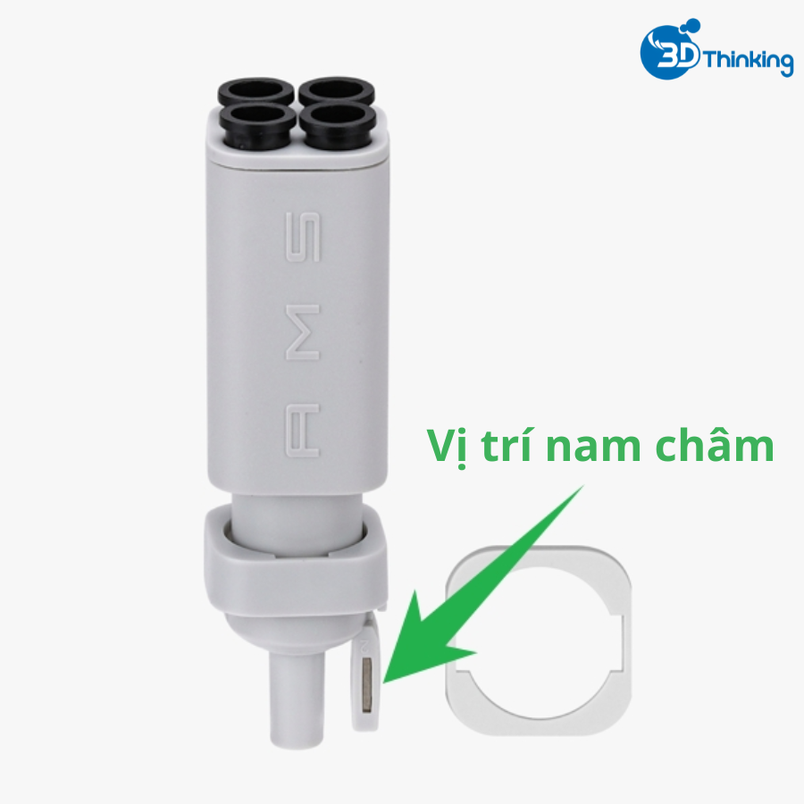 vệ sinh ams lite